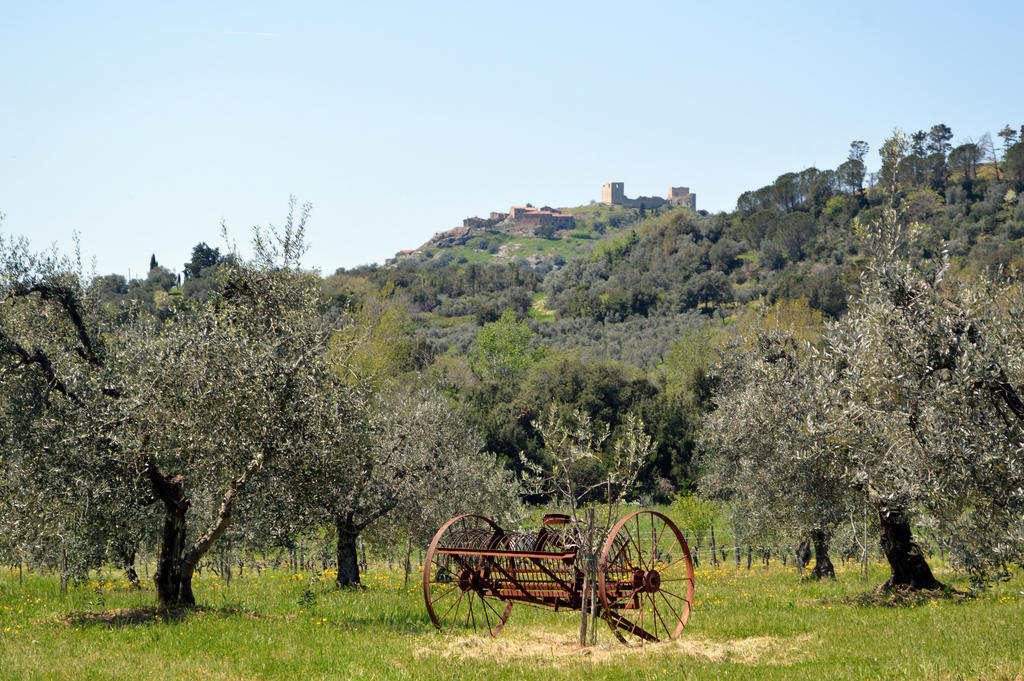Country House Il Ciliegio Roccatederighi ภายนอก รูปภาพ